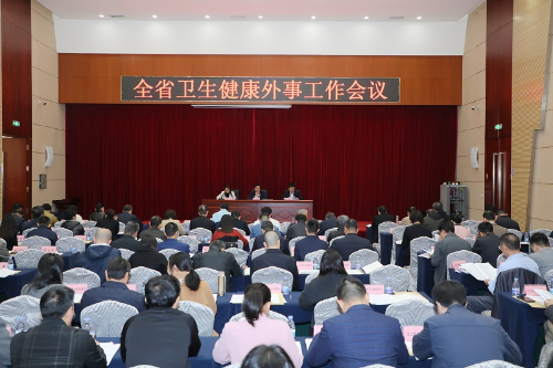 全省卫生健康外事工作会议.jpg