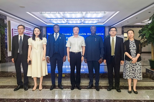 加纳卫生代表团访问做爱片
